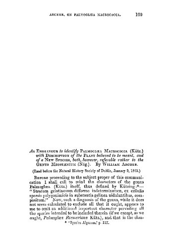 An Endeavour to identify Palmogloea macrococca (Kütz.) with description of the plant believed to be meant, and of a new species, both, however, referable rather to the Genus Meostaenium (Näg.)