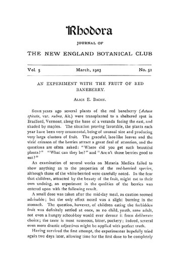 An experiment with the fruit of red Baneberry