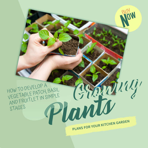 Growing Plants Plans For Your Kitchen Garden How To Develop A Vegetable Patch, Basil And Fruitlet In Simple Stages