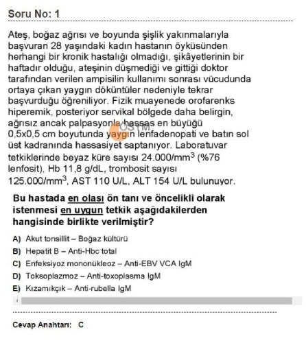 Tus Soruları Cevaplı Mart 2021