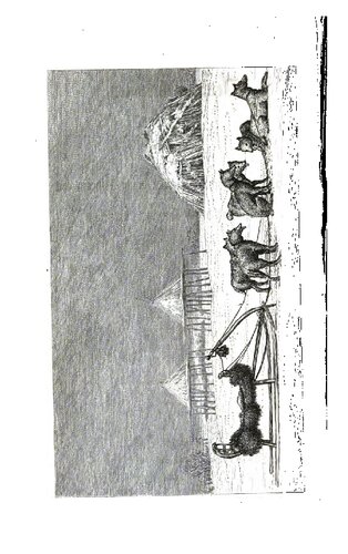 Denkwürdigkeiten einer Reise nach dem russischen Amerika, nach Mikronesien und durch Kamtschatka