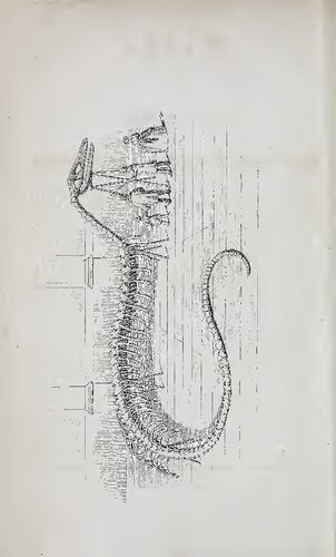Reise durch einen Theil der Vereinigten Staaten von Nordamerika in den Jahren 1844 bis 1846