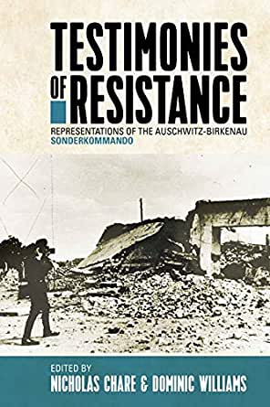Testimonies of resistance : representations of the Auschwitz-Birkenau Sonderkommando