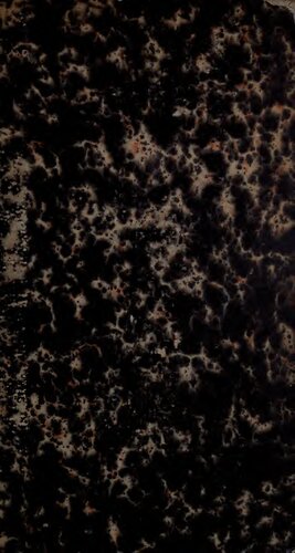 Von der ersten Präsidentschaft des Thomas Jeflferson bis zum Ende der zweiten Präsidentschaft des Andrew Jackson