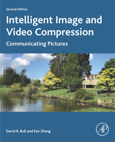 Intelligent Image and Video Compression: Communicating Pictures