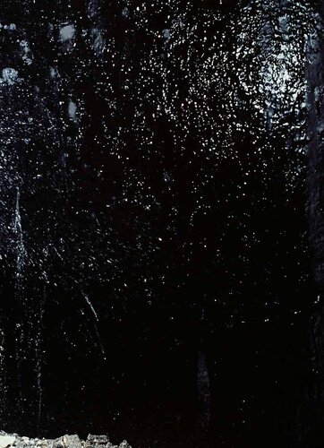 Will They Sing Like Raindrops or Leave Me Thirsty