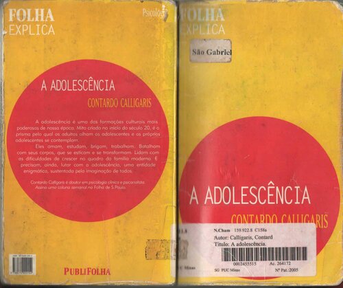 A adolescência