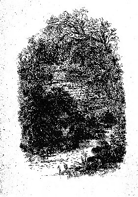 A Journey through Texas; or, A Saddle Trip to the Southwestern Frontier; with a statistical appendix