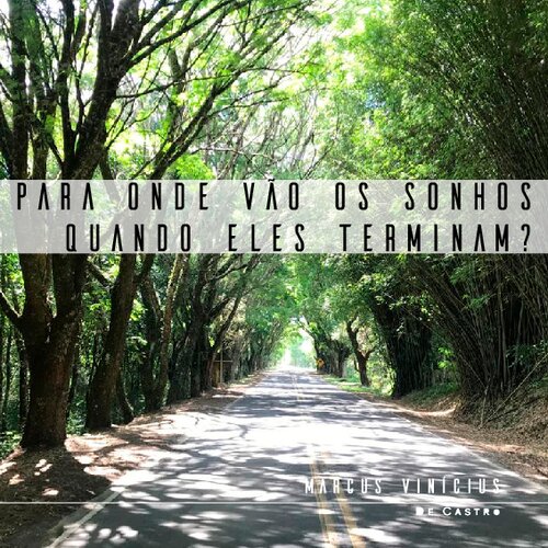 Para onde vão os sonhos quando eles terminam? [&nbsp;ed.]