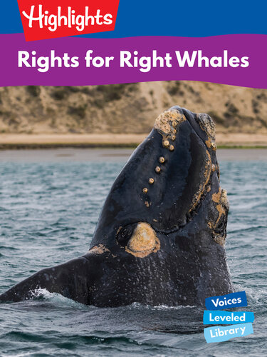 Rights for Right Whales