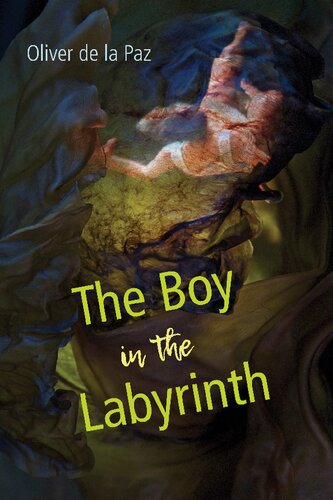 The Boy in the Labyrinth: Poems