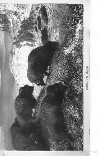 Die Prairien des amerikanischen Westens