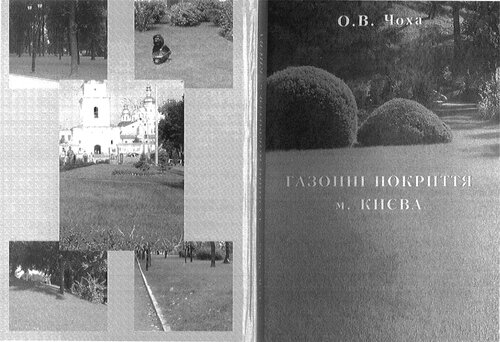 Газоннi покриття м. Киева