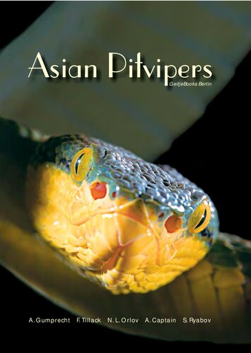 Asian Pitvipers