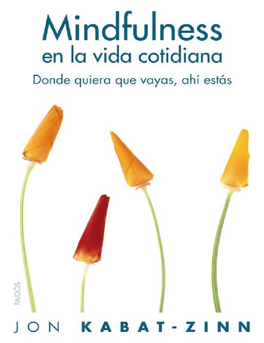 Mindfulness en la vida cotidiana. Donde quieraque vayas, ahí estás