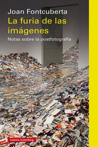 La furia de las imágenes: Notas sobre la postfotografía