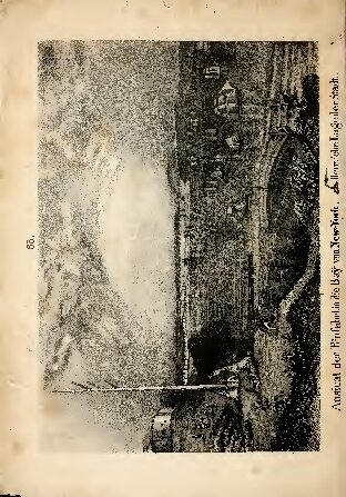 Wahn und Überzeugung. Reise des Kupferschmiede-Meisters Friedrich Höhne in Weimar über Bremen nach Nordamerika und Texas in den Jahren 1839, 1840 und 1841