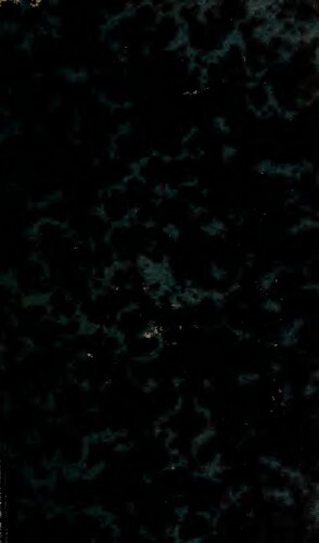 Traité d'anatomie descriptive