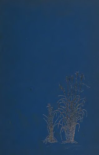 Face of North America : the natural history of a continent