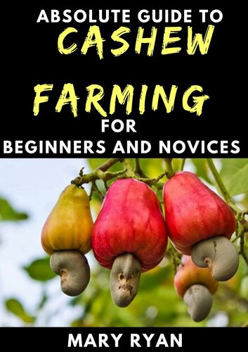Absolute Guide To Cashew Farming For Beginners And Novices