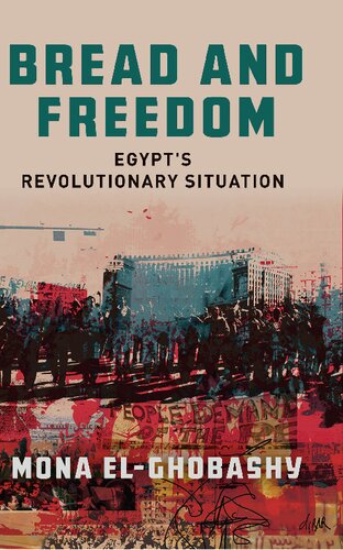 Bread and Freedom: Egypt’s Revolutionary Situation