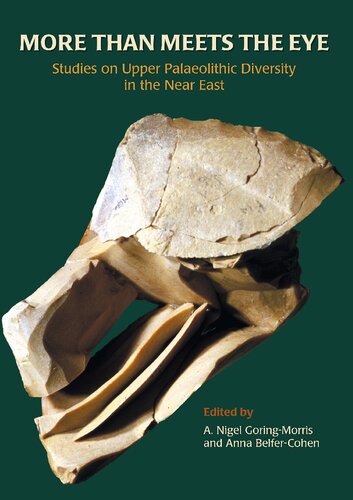 More Than Meets the Eye: Studies on Upper Palaeolithic Diversity in the Near East