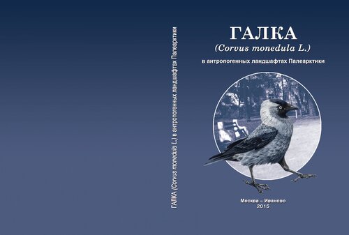 Галка (Corvus monedula L.) в антропогенных ландшафтах Палеарктики.