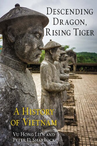 Descending Dragon, Rising Tiger : a History of Vietnam.