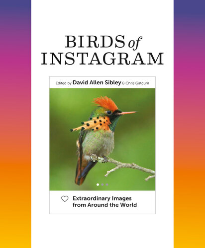 Birds of Instagram: Extraordinary Images from Around the World