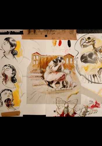 Les bandes dessinées exposées