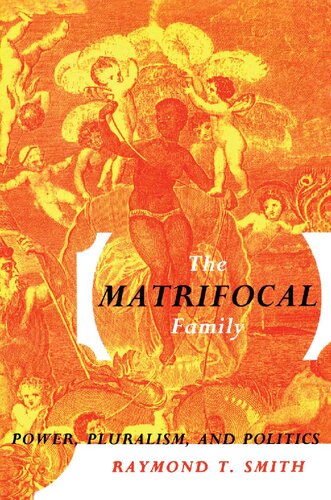 The Matrifocal Family: Power, Pluralism, and Politics