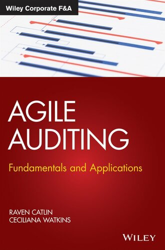 Agile Auditing: Fundamentals and Applications (Wiley Corporate F&A)