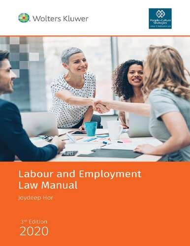 Labour and employment law manual