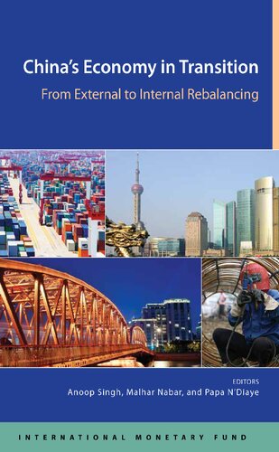 China's Economy in Transition: From External to Domestic Rebalancing: from external to internal rebalancing