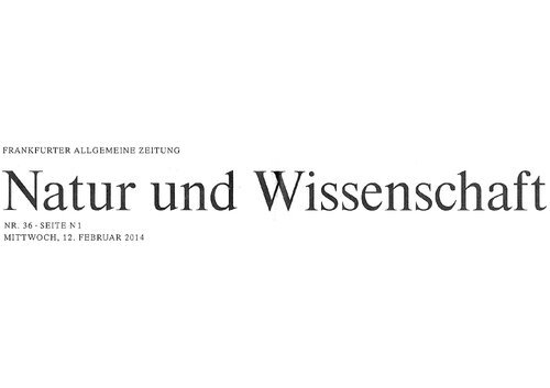 Asteroiden mit gespaltener Persönlichkeit