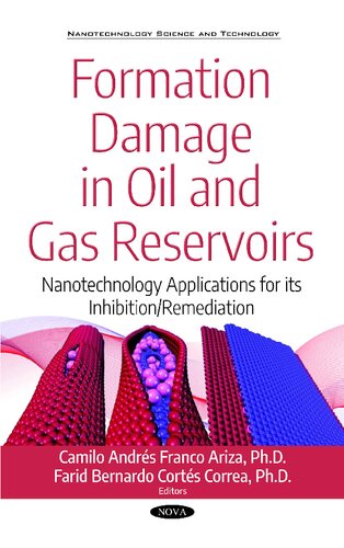 Formation Damage in Oil and Gas Reservoirs: Nanotechnology Applications for Its Inhibition/Remediation (Nanotechnology Science and Technology: ... Technologies, Regulations and Safety)