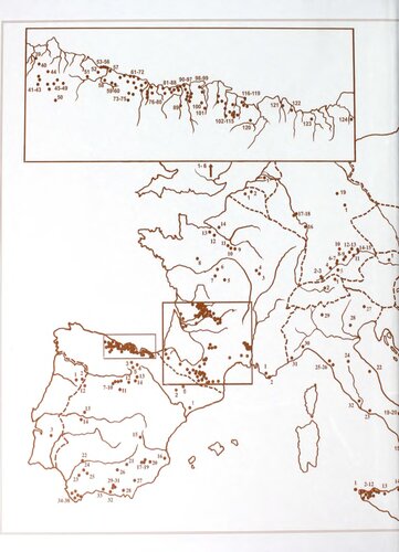 The Nature of Paleolithic Art