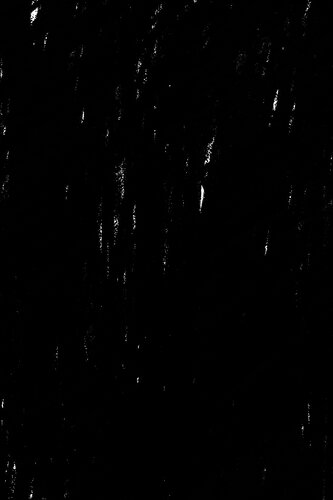 We Want It All: An Anthology of Radical Trans Poetics