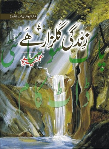 زندگی گلزار ہے / Zindagi Gulzar Hai