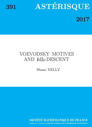 Voevodsky Motives and ldh-descent
