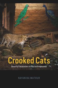 Crooked Cats: Beastly Encounters in the Anthropocene