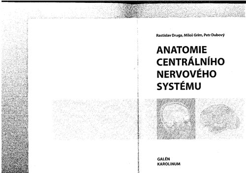 Anatomie centrálního nervového systému