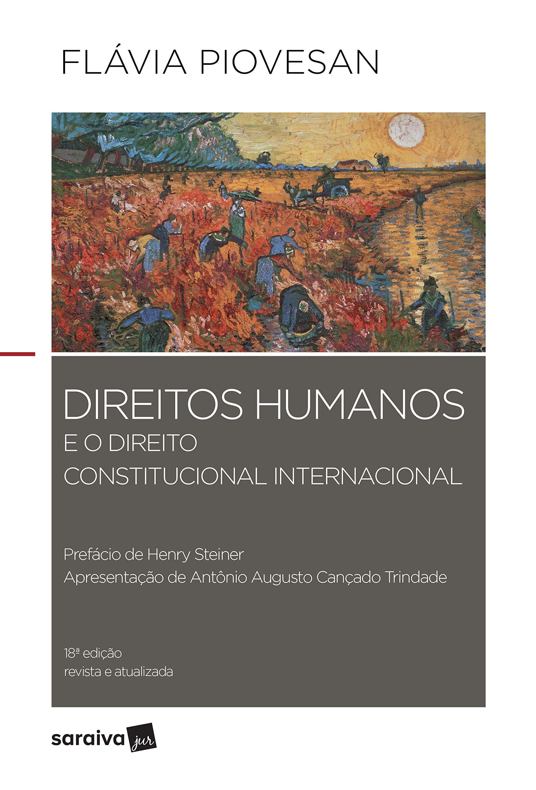 Direitos humanos e o direito constitucional internacional