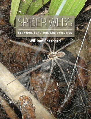 Spider Webs: Behavior, Function, and Evolution