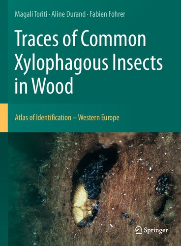 Traces of Common Xylophagous Insects in Wood: Atlas of Identification - Western Europe