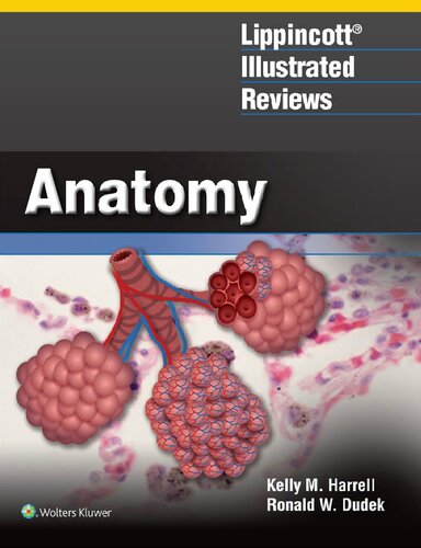 Lippincott Illustrated Reviews: Anatomy