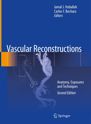 Vascular Reconstructions. Anatomy, Exposures and Techniques