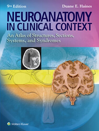 Neuroanatomy in Clinical Context. An Atlas of Structures, Sections, Systems, and Syndromes