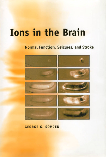 Ions in the Brain: Normal Function, Seizures, and Stroke