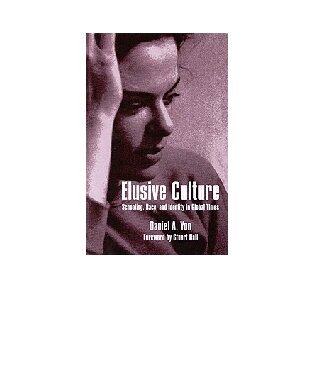 Elusive Culture: Schooling, Race, and Identity in Global Times